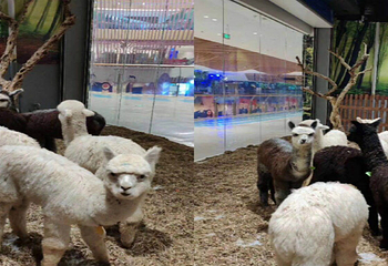 润达奇妙萌宠乐园(润达国际购物中心店)第 9 张图片