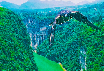 苦竹河大峡谷第 2 张图片