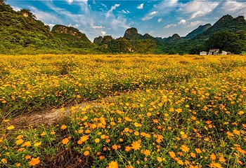 峰林胜境第 5 张图片