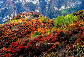 坡峰岭第 41 张图片