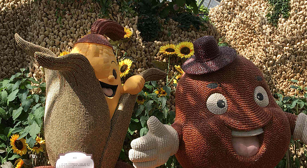 第四届济南花博会