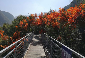 坡峰岭第 3 张图片