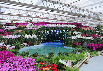 第四届济南花博会第 3 张图片