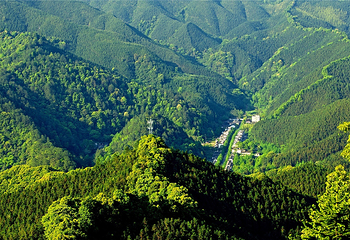 帽子峰旅游景区第 26 张图片