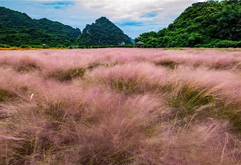 峰林胜境第 8 张图片