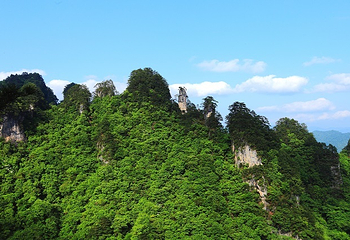 光雾山旅游景区第 4 张图片