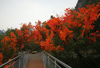 坡峰岭第 21 张图片