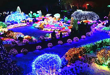 璀璨灯海文化艺术夜第 7 张图片