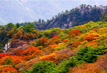 尧山风景区第 51 张图片