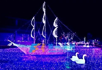 沁阳天鹅湖梦幻灯光节第 2 张图片