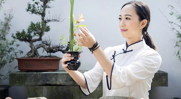 梦之湖田园菊花文化节