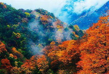 川西红枫岭第 57 张图片