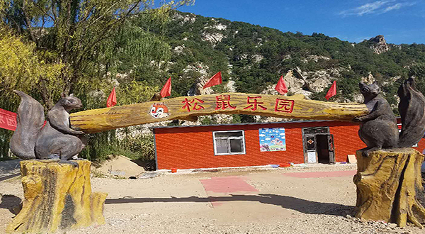 松鼠乐园