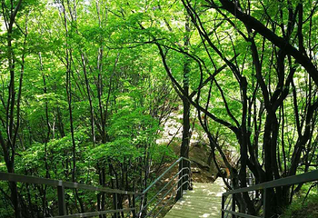 九龙峡第 42 张图片