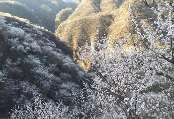 九龙峡第 44 张图片