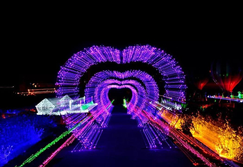 沁阳天鹅湖梦幻灯光节第 5 张图片
