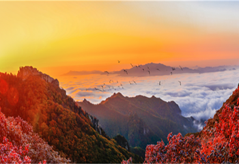 丹东天桥沟景区第 9 张图片