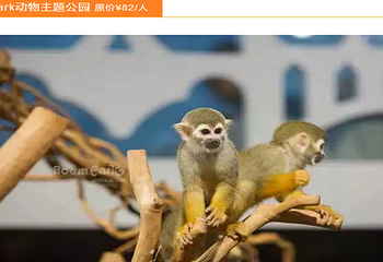 绵阳惠民卡第 5 张图片