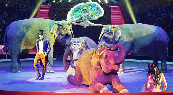 2018易如国际大马戏