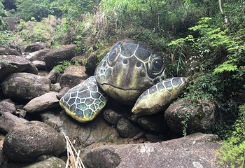 高州仙人洞景区第 14 张图片