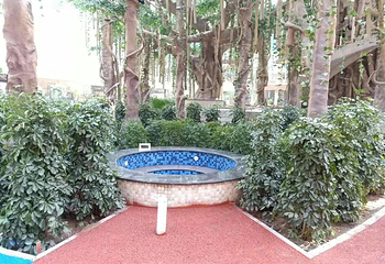 龙润夏宫温泉水乐园第 95 张图片