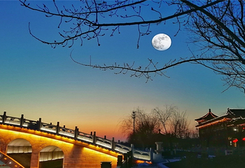 杨柳青古镇第 4 张图片