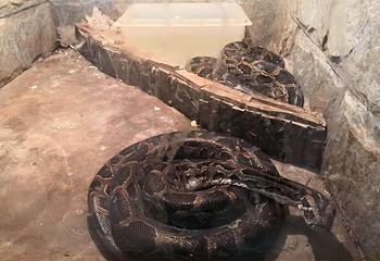 福州动物园第 8 张图片