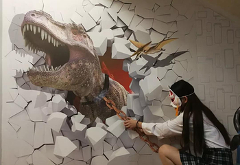 海湾3D错觉艺术馆第 12 张图片