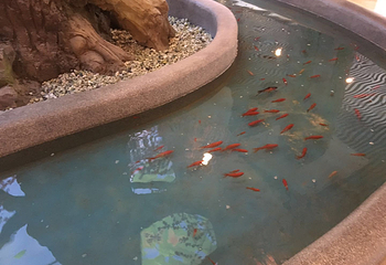 龙润夏宫温泉水乐园第 58 张图片