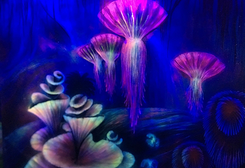 深圳3D星空艺术展怪屋第 1 张图片