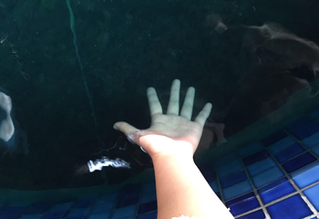 龙润夏宫温泉水乐园第 44 张图片