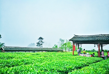 木兰清凉寨第 7 张图片