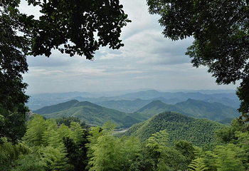 莫干山胡润山浩丛林冒险乐园第 4 张图片