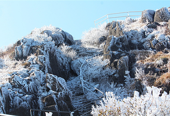 清远金子山原生态旅游风景区第 202 张图片