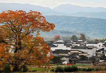 塔川第 66 张图片