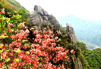 清远金子山原生态旅游风景区第 9 张图片