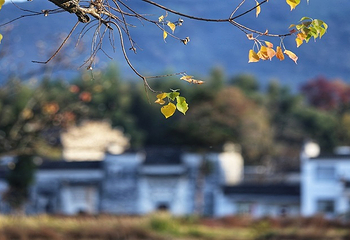 塔川第 34 张图片