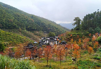 梅岭太阳谷第 10 张图片