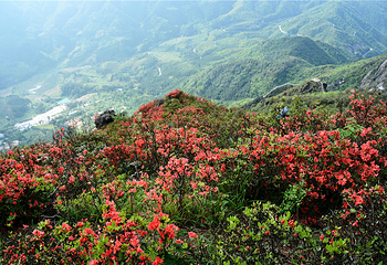 清远金子山原生态旅游风景区第 70 张图片