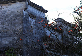 塔川第 25 张图片