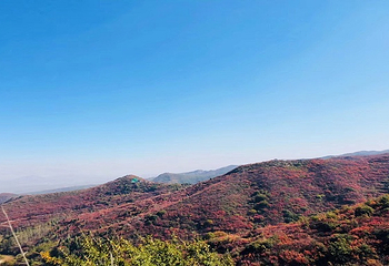 竹林长寿山第 19 张图片