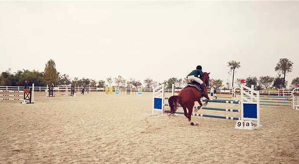 轻骑士马术俱乐部