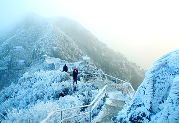 清远金子山原生态旅游风景区第 187 张图片