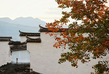 塔川第 55 张图片