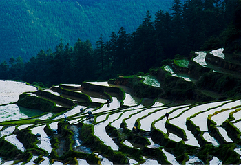 清远金子山原生态旅游风景区第 128 张图片
