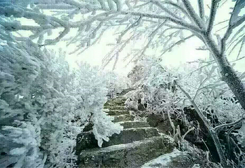 清远金子山原生态旅游风景区第 144 张图片