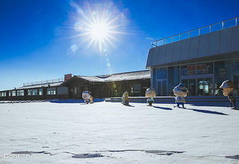 万龙滑雪场第 16 张图片