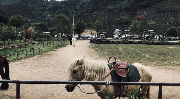 下渚湖康城野郊户外营地