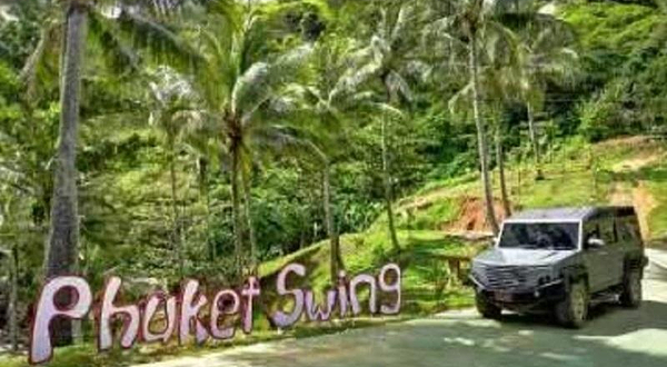 普吉岛大树秋千