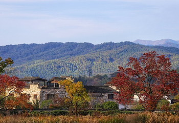 塔川第 38 张图片